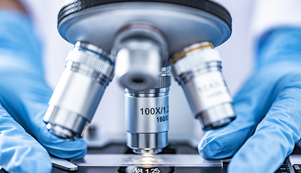 превод clinica heidelberg